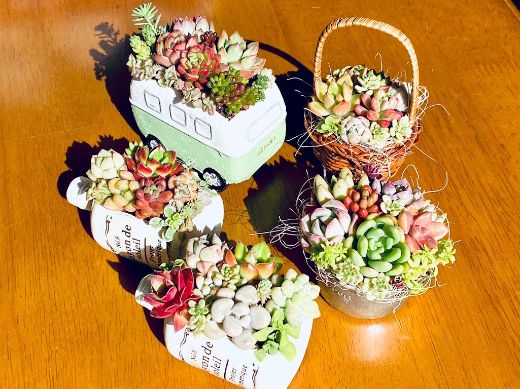 MARIKO様【オーダー品】寄せ植え 5点セット | Succulent＆雑貨 Dia Lily